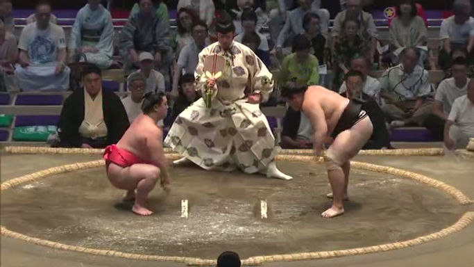 Arashifuji x Nishinoryu
